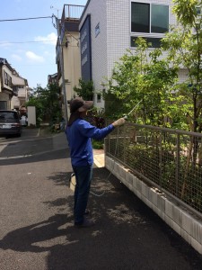 害虫の消毒を依頼できる業者やお店おすすめ埼玉県ニワナショナル