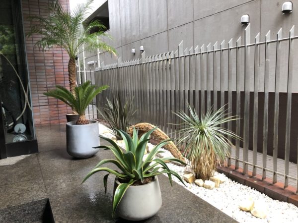 植栽スペースを西海岸風にイメージチェンジ／千代田区